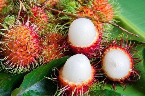 
Vitamin C trong chôm chôm có tác dụng hỗ trợ chống nhiễm trùng
