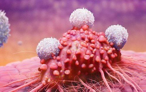 Is cancer contagious?