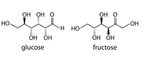 
Fructose và Glucose không phải là calo
