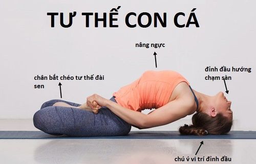 
Để cải thiện bệnh lý suy giáp hoặc cường giáp, bạn có thể tập yoga tư thế con cá
