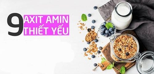 Axit amin thiết yếu: Định nghĩa, lợi ích và nguồn thực phẩm