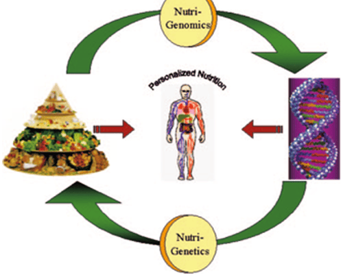 Nutritional genes: What you need to know