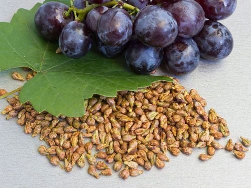 Is it good to eat grape seeds?