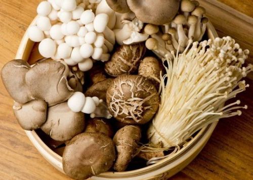 Eating mushrooms is good for health?