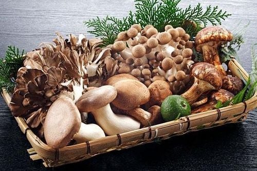 6 types of mushrooms that are good for your immune system