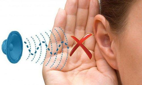 Noise is the leading cause of hearing loss