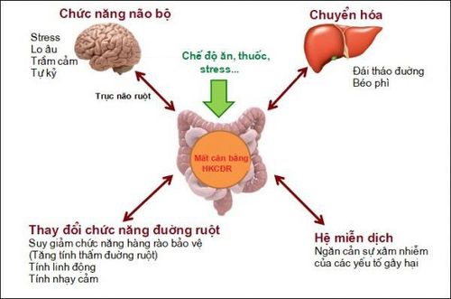 
Việc mất cân bằng hệ vi khuẩn chí đường ruột sẽ dẫn đến nhiều bệnh lý cho cơ thể
