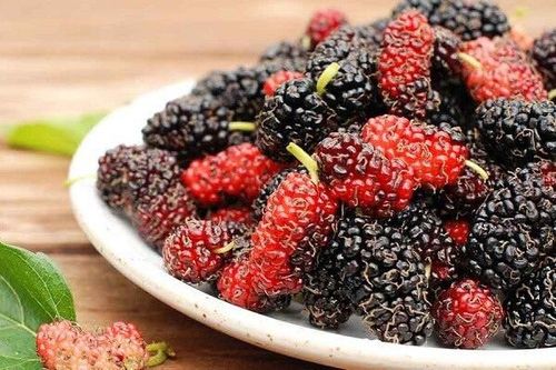 What is the effect of mulberry fruit?