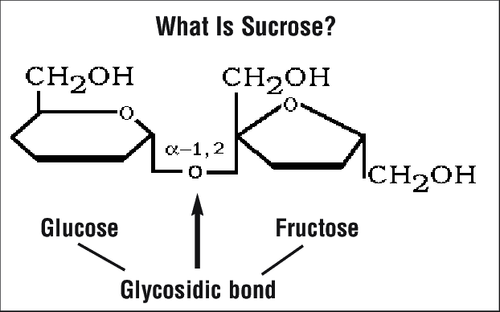 Sucrose, Glucose và Fructose khác nhau thế nào?