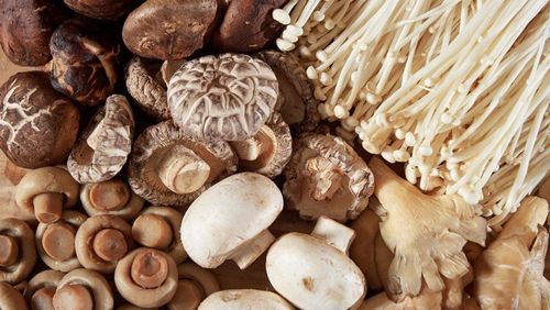 Can children eat mushrooms?