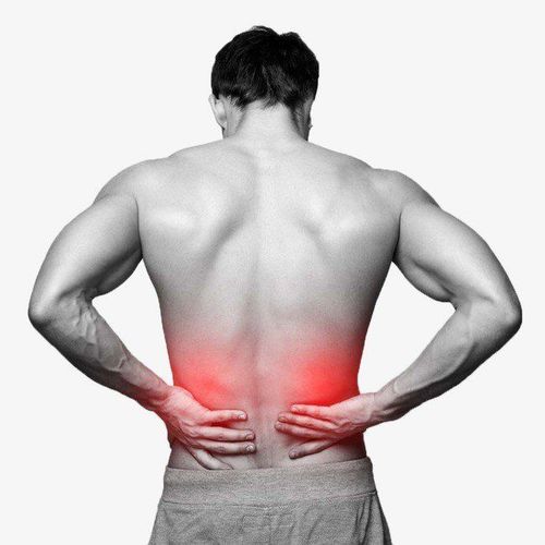 Các vấn đề về cơ và đau cơ lưng