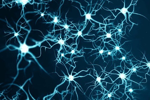 
Neuron cells (Credit: © rost9 / stock.adobe.com)
