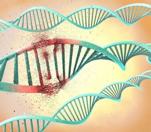 
Giải trình tự gen thế hệ mới giúp quan sát các phân tử DNA polymerase khi chúng sao chép DNA.
