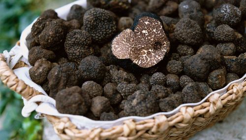 Lượng calo trong nấm Truffle