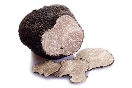 
Nấm Truffle giàu axit amin và khoáng chất
