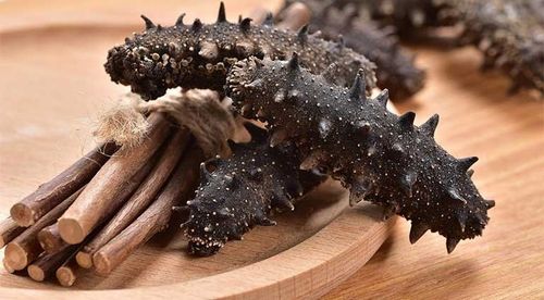 What is sea cucumber?