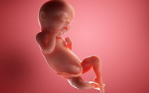 Phương pháp kiểm tra thai nhi có nguy cơ Down như nào?