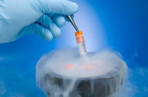 How long can frozen embryos be stored?