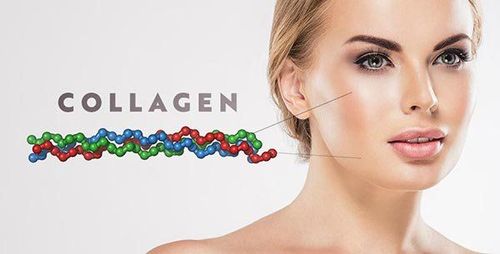 
Collagen là một loại protein được tìm thấy trong các mô liên kết của da
