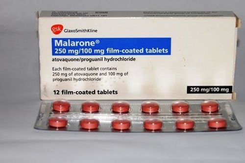 Malarone drug: Uses, indications and precautions when using