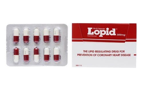 Thuốc Lopid: Công dụng, chỉ định và lưu ý khi dùng