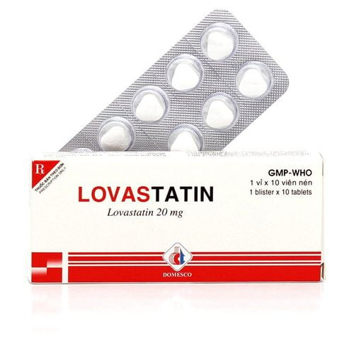 Lovastatin: Uses, indications and precautions when using