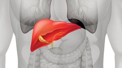 Is liver damage from parasitic infections dangerous?