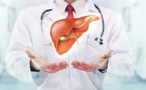 Can I check liver enzymes while taking traditional Chinese medicine?