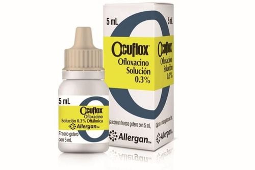 Ocuflox: Uses, indications and precautions when using