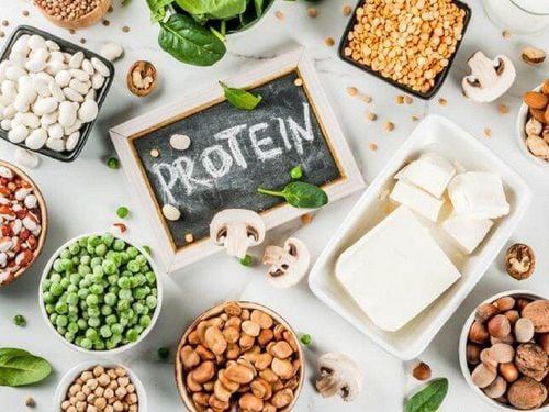 Does eating plants meet protein needs?