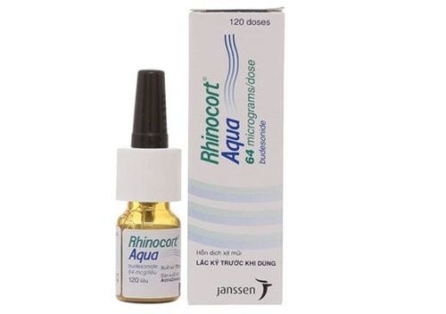 Rhinocort Allergy Aerosol: Uses, indications and cautions when using