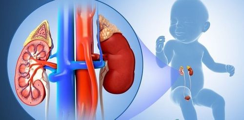 Hereditary cystic kidney disease in children
