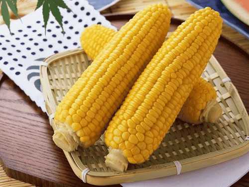 Is eating corn fat?