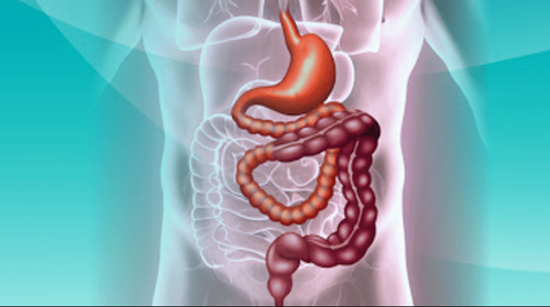 Pathogenesis of short bowel syndrome in adults