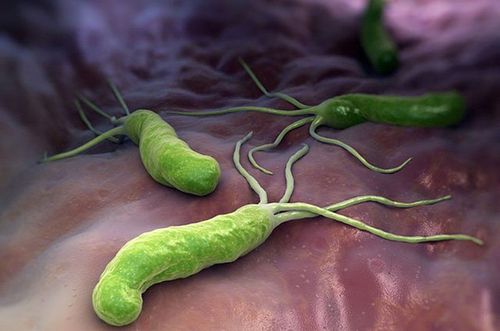 The role of H.Pylori in systemic diseases