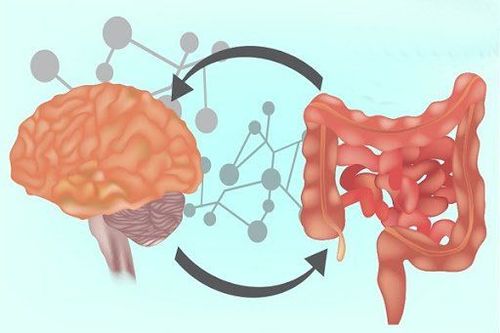 
Hội chứng ruột kích thích có liên quan đến não bộ con người
