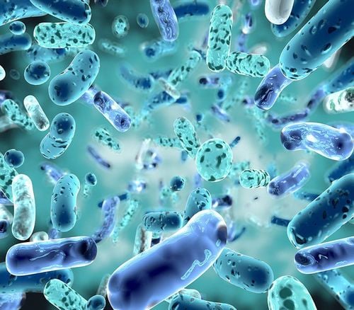 Are Probiotics Good for Heart Health?