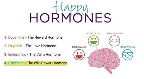 Hormones hạnh phúc là gì và làm thế nào để tăng cường?