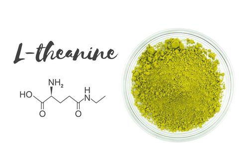 L-theanine là gì? Công dụng với sức khỏe ra sao?