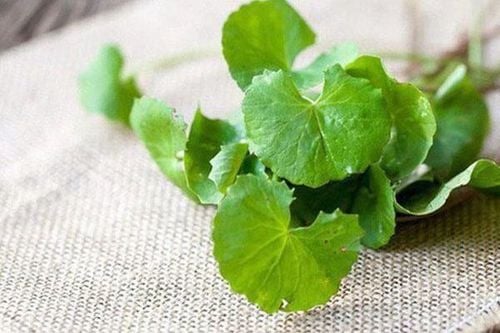 Eat gotu kola to clear heat and detoxify?