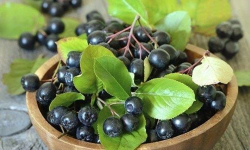 
Quả Chokeberry là nguồn thực phẩm giàu chất chống oxy hóa
