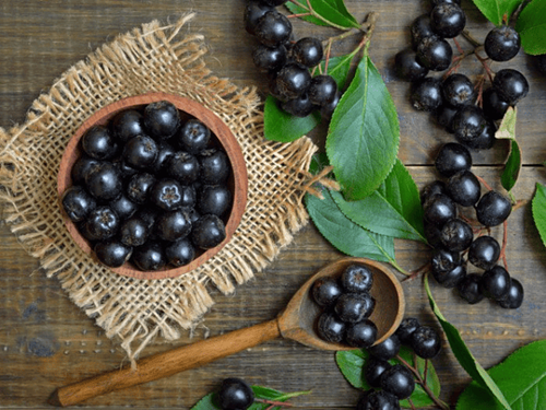 Health benefits of Chokeberry