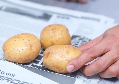 How to preserve fresh potatoes, do not sprout