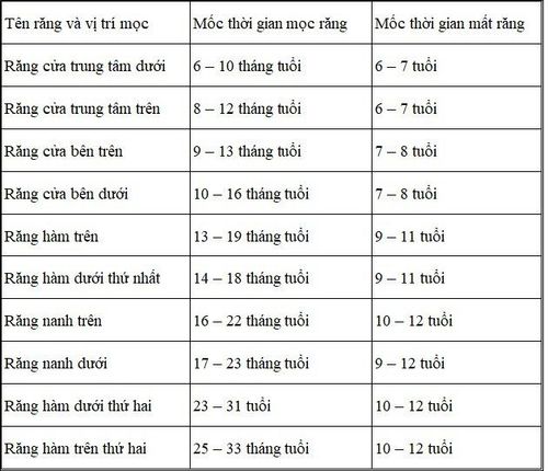 
Mỗi đứa trẻ sẽ mọc và rụng răng theo những giai đoạn và thời điểm riêng
