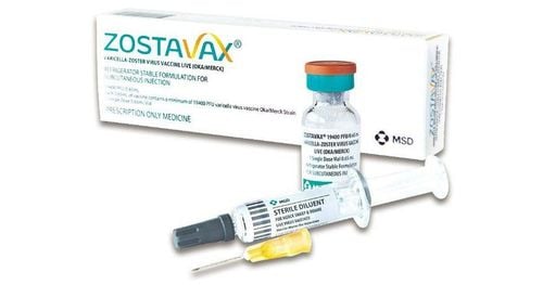 Thuốc Zostavax: Công dụng, chỉ định và lưu ý khi dùng
