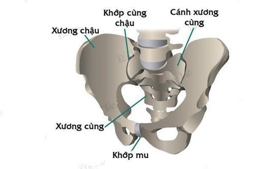 
Đau xương chậu khi mang thai
