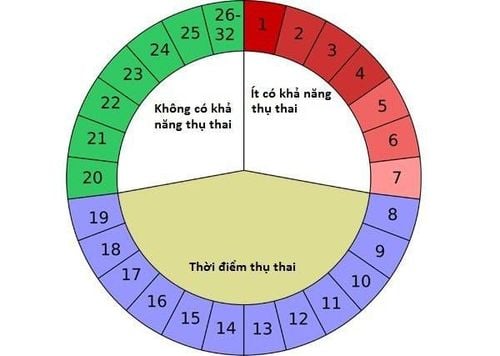 Quan hệ vào thời điểm nào dễ thụ thai?