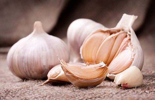 Does eating garlic and onions a lot have bad breath?