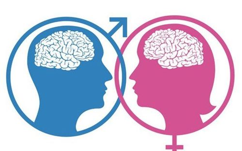 Bộ não của nam và nữ có khác gì nhau không?