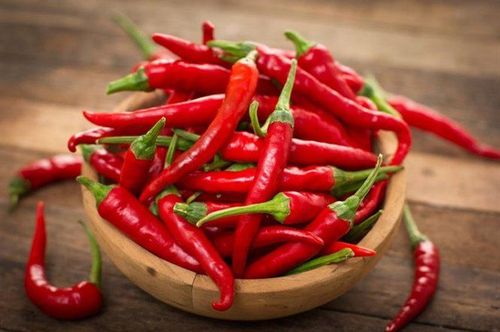 Why are chili peppers spicy?